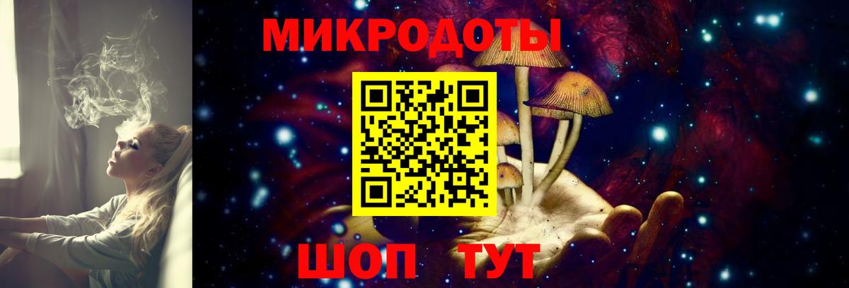 Губаха  Галлюциногенные грибы Psilocybine cubensis  Вход с VPN 